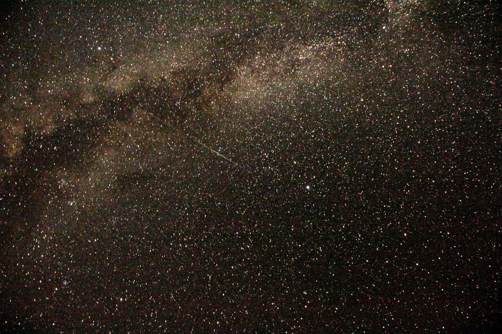 Wadi Rum Sleep Under The Stars ภายนอก รูปภาพ