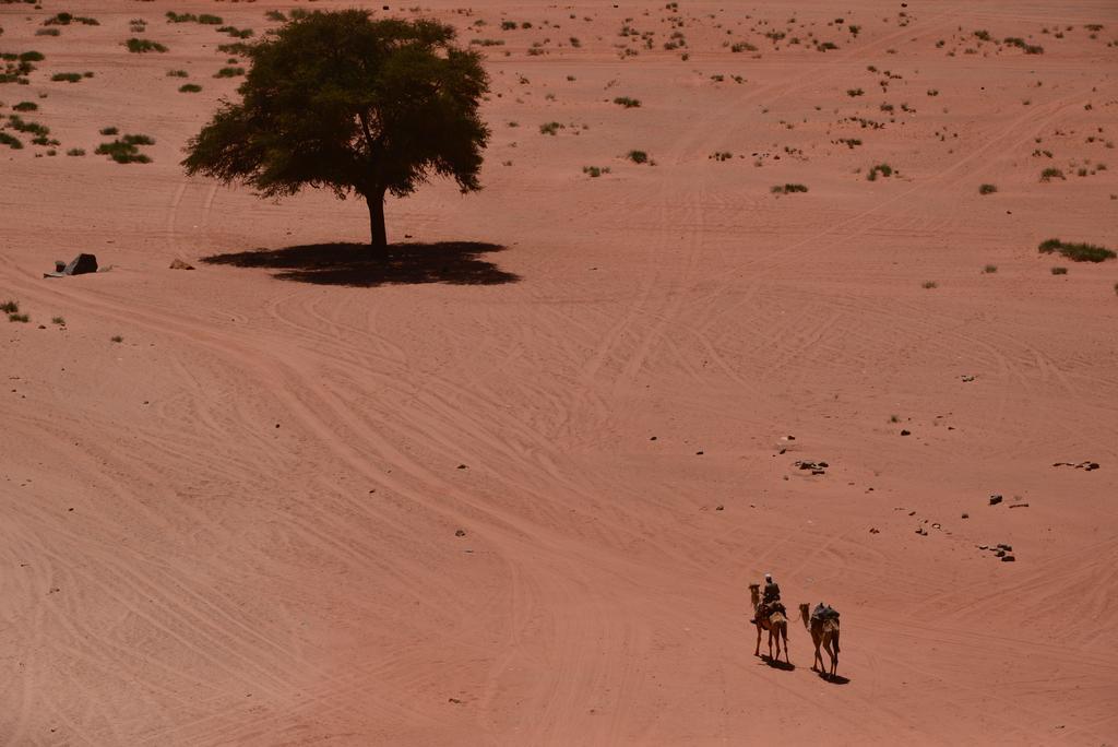 Wadi Rum Sleep Under The Stars ภายนอก รูปภาพ